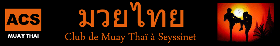 Logo Site Boxe Thaï 38